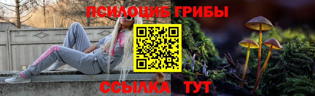 Псилоцибиновые грибы прущие грибы Миллерово