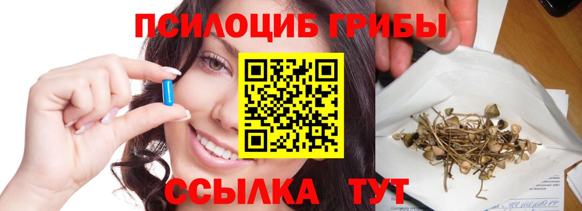 Галлюциногенные грибы мицелий  Псилоцибиновые грибы Psilocybine cubensis  Вход с VPN  Миллерово 